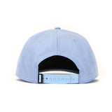 Howies Hockey - Lid - Blue Paint - Goal Crease Blue